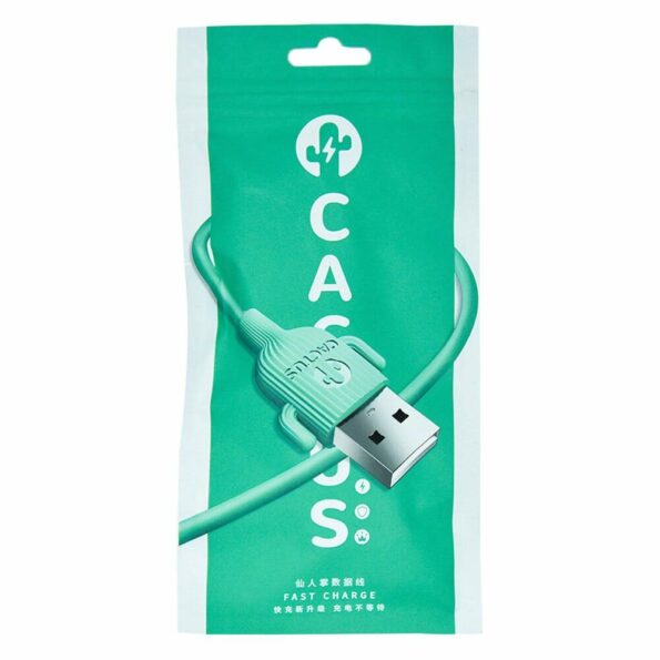 Cable type c ca-123