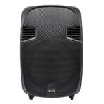 Bocina portable party speaker front load ds-1801 1