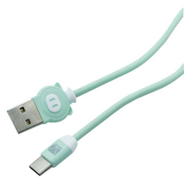Cable ca-100