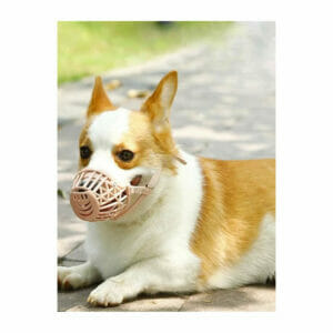 Bozal para perro