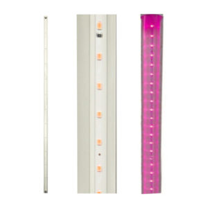 Regleta tubo led wanergy luz rosa