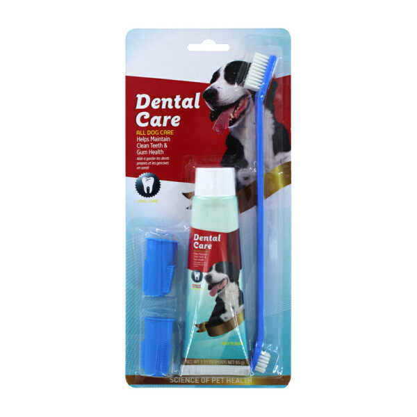 kit dental