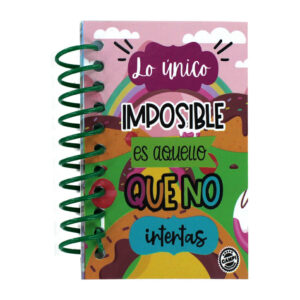 Libreta tamaño mini 45 hojas, variedad de diseños / R1059