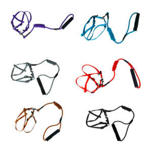 Juego de correa y pechera ajustable para mascota de talla chica, variedad de colores / high quality pet products / 18-0049