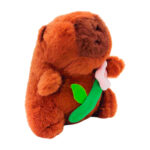 CAPI-CORAZON-1 (2)