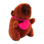 CAPI-CORAZON (2)