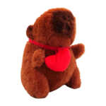 CAPI-CORAZON (4)