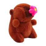 CAPI-FUNCCION (11)