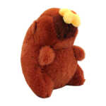 CAPI-FUNCCION (12)
