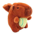CAPI-FUNCCION (2)