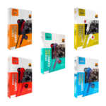 Audífono alámbrico entrada auxiliar con manos libres, variedad de colores / born to win / stereo earphone / ul-16 / ui-16