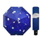 ZDSXX04 (1)