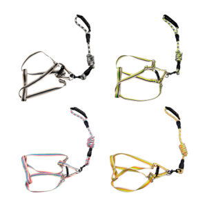 Set de correa y arnés ajustable de 2.5cm con línea reflejante y 2 franjas bicolor para mascotas, variedad de colores / jr2368 / 2368