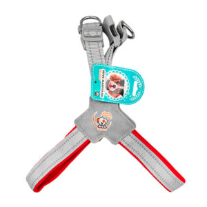 Arnés acolchado con broches de seguridad y ajustables talla M, color surtido