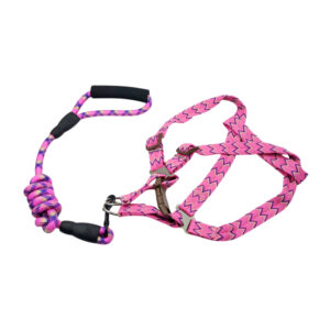 Set correa y pechera 2.5cm de ancho, variedad de colores / 6373666